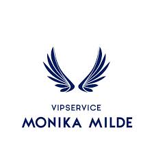 Partner Vipservice Logo